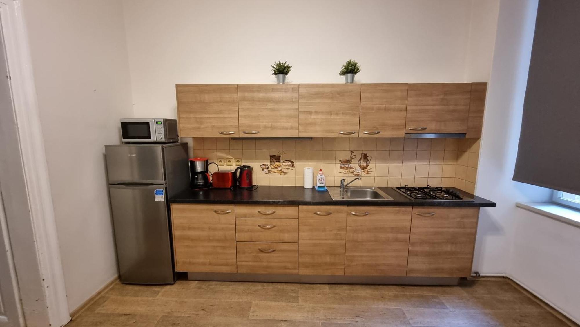 Apartment Krakovska 20 براغ المظهر الخارجي الصورة
